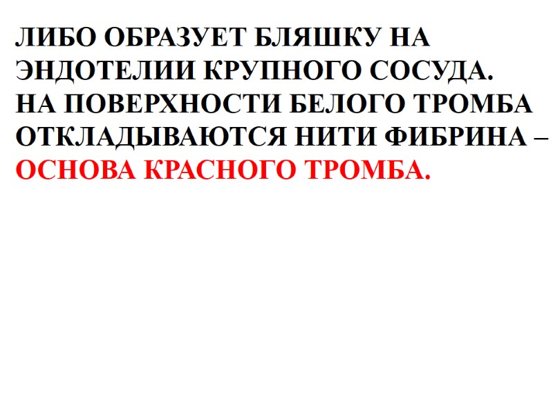 ЛИБО ОБРАЗУЕТ БЛЯШКУ НА  ЭНДОТЕЛИИ КРУПНОГО СОСУДА. НА ПОВЕРХНОСТИ БЕЛОГО ТРОМБА  ОТКЛАДЫВАЮТСЯ